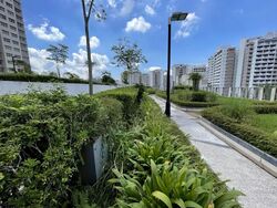 Blk 293C Skypeak @ Bukit Batok (Bukit Batok), HDB 4 Rooms #557116711